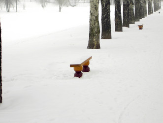 Similar image 21654789