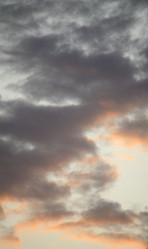 Similar image 21654790