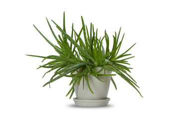 Similar image 21654834