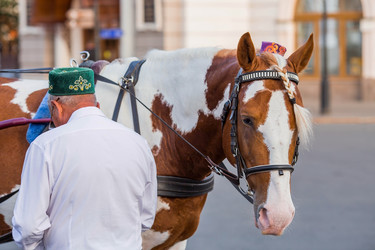 Similar image 21654126