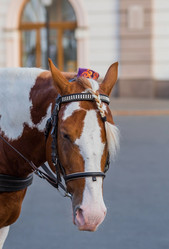 Similar image 21654128