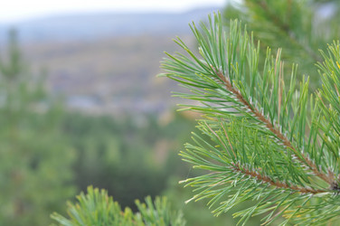 Similar image 21653659