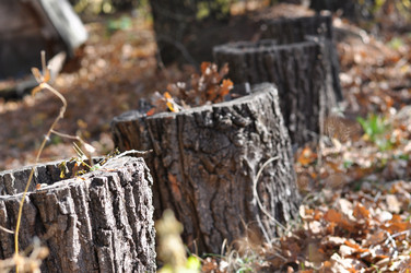 Similar image 21653663