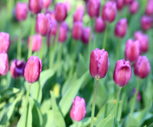 Similar image 21654149