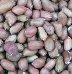 Similar image 21654157