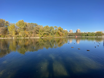 Similar image 21654173