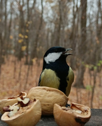 Similar image 21659523