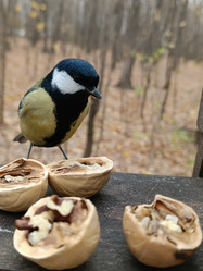 Similar image 21661129