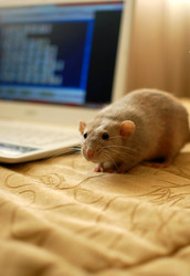 Similar image 21653669