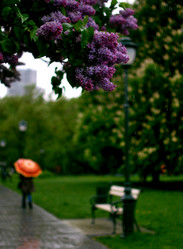 Similar image 21653673