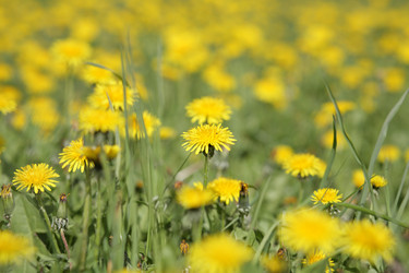 Similar image 21654856