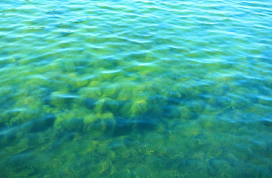 Similar image 21654865