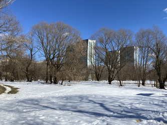 Similar image 21654869