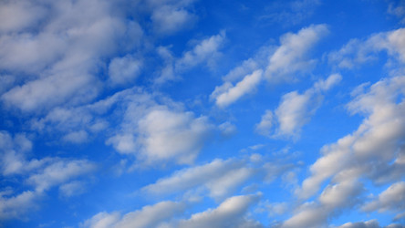 Similar image 21654884