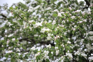 Similar image 21654885