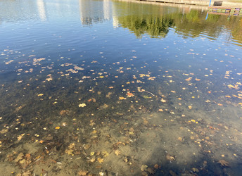 Similar image 21654887