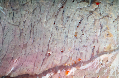 Similar image 21654889