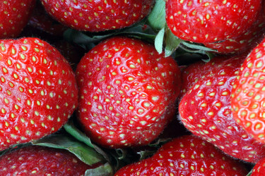 Similar image 21654894