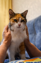 Similar image 21660537