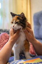 Similar image 21660538