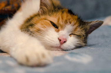 Similar image 21660539