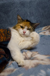 Similar image 21660540