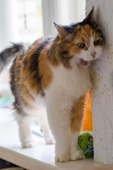 Similar image 21660542