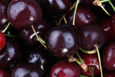 Similar image 21654905