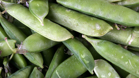 Similar image 21654912