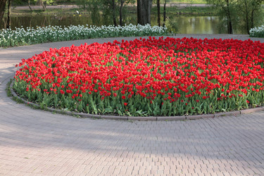 Similar image 21654916