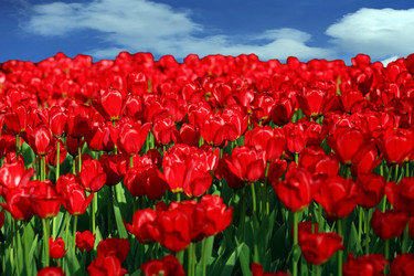 Similar image 21654920