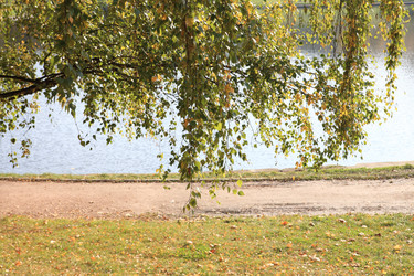 Similar image 21654921