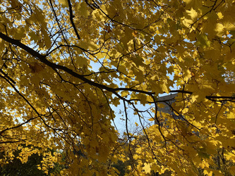 Similar image 21654925