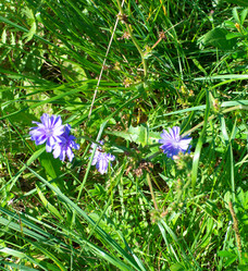 Similar image 21654190