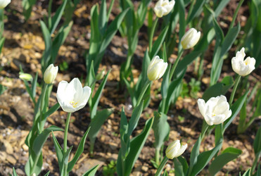 Similar image 21654191