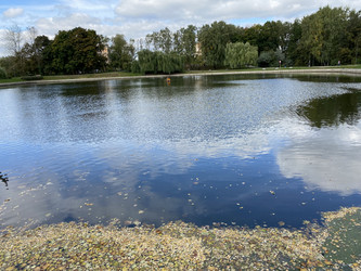 Similar image 21654193