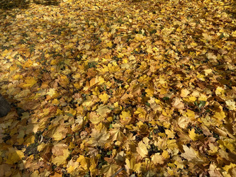 Similar image 21654194