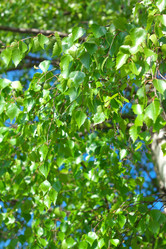 Similar image 21654197