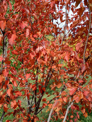 Similar image 21654199