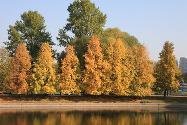 Similar image 21654203