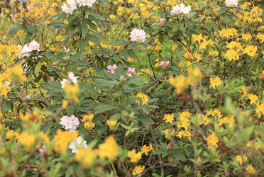 Similar image 21654204