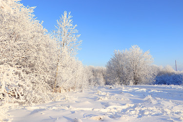 Similar image 21653681