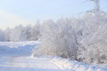 Similar image 21653684