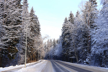 Similar image 21653685