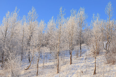 Similar image 21653687