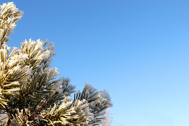 Similar image 21653689