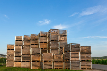 Similar image 21656965