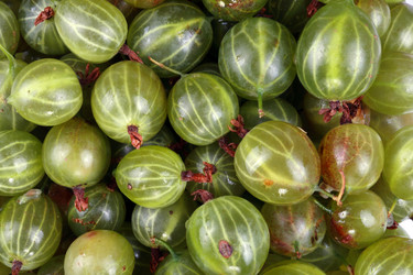 Similar image 21654214