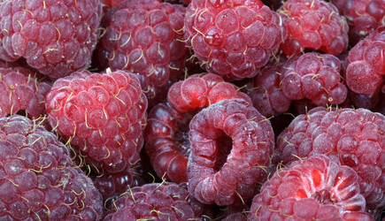 Similar image 21654220