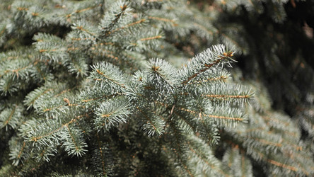 Similar image 21654228